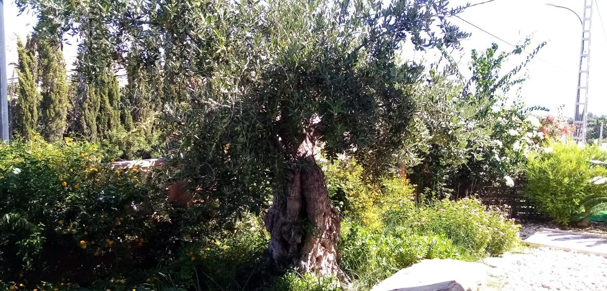Villa Casa Kenaz El Campello Buitenkant foto